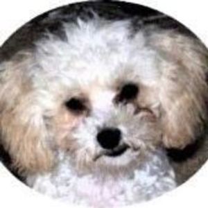 Meet your Posher, Eileen